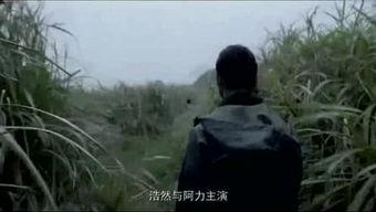 电影《圈儿》在线观看,揭秘都市生活背后的情感漩涡  第3张